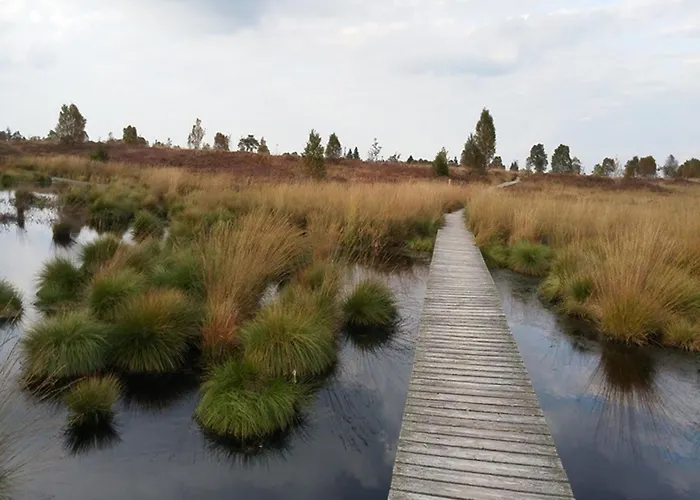 Haus Panoramablick - 2 * Μονσάου