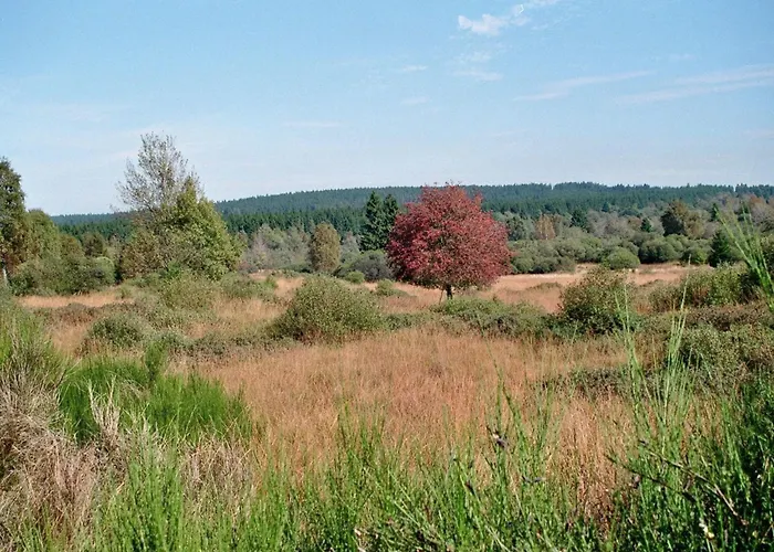 Haus Panoramablick - 2 Διαμέρισμα
